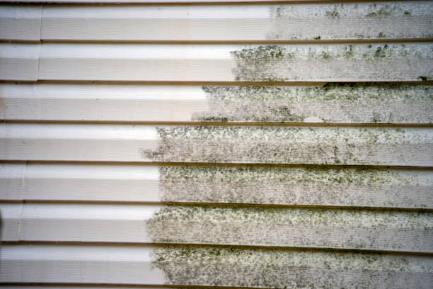 Best Siding Removal and Disposal  in National Park, NJ