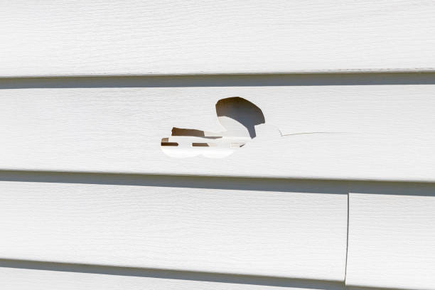 Best Stone Veneer Siding  in National Park, NJ