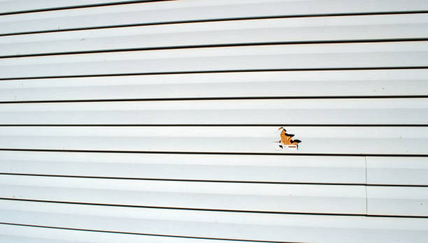 Best Residential Vinyl Siding Installation  in National Park, NJ