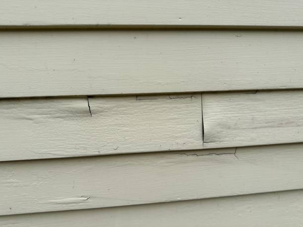 Professional Siding Installation & Repair in National Park, NJ